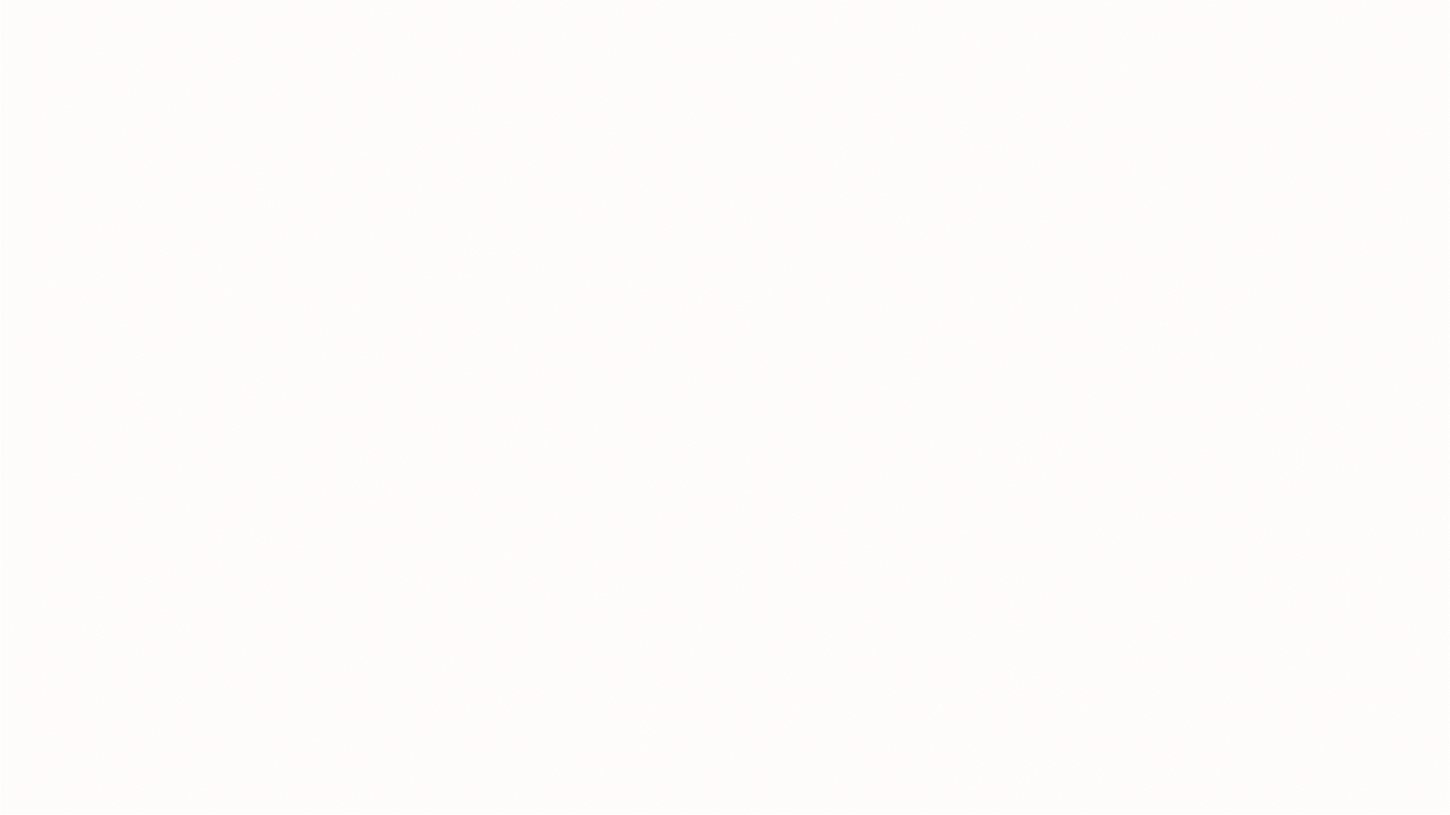 Animated Spin wordmark